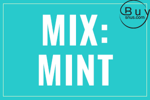 Mint Mix - Chewing Bags