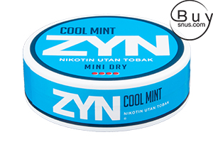 Zyn Cool Mint Extra Strong Mini Dry