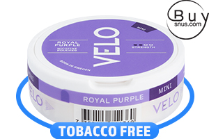 Velo Mini Royal Purple All White