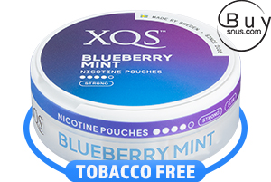 XQS Blueberry Mint Strong Slim