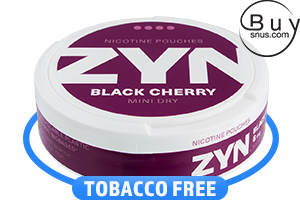 Buy ZYN Mini Dry Cool Mint 6 mg