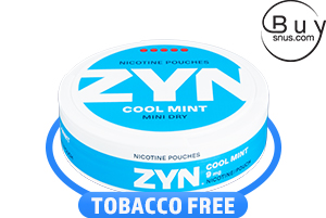 Zyn Cool Mint Super Strong Mini Dry