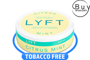 Lyft Citrus Mint Regular Mini