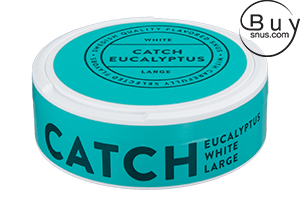 Catch Eucalyptus Large White 