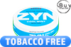 Zyn Cool Mint Super Strong Mini Dry