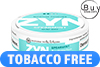 Zyn Spearmint Medium Mini Dry