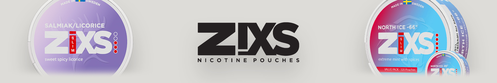 ZiXS
