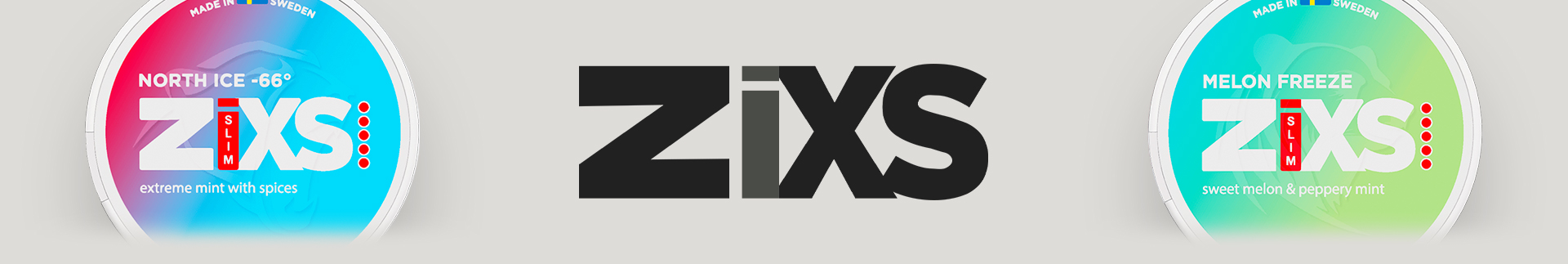ZiXS