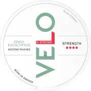 Velo Zingy Eucalyptus X-Strong Slim