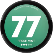 77 Fresh Mint Medium Slim
