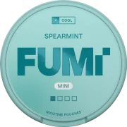 FUMi Spearmint Regular Mini