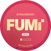 FUMi Strawberry Regular Mini