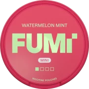 FUMi Watermelon Mint Regular Mini