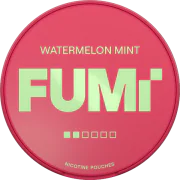 FUMi Watermelon Mint Regular