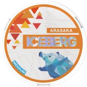 ICEBERG Arasaka Medium
