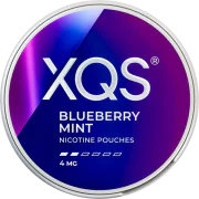 XQS Blueberry Mint 4MG