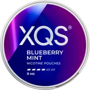 XQS Blueberry Mint Strong Slim